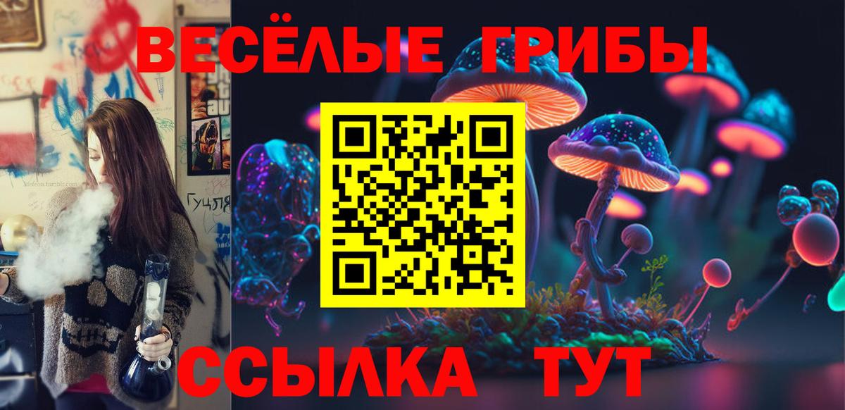 Псилоцибиновые грибы Cubensis  Вход с VPN  Ижевск  Псилоцибиновые грибы ЛСД 
