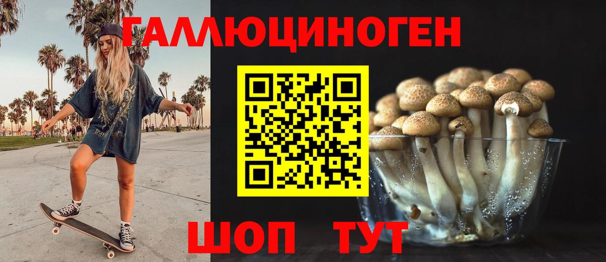 Псилоцибиновые грибы GOLDEN TEACHER Ижевск